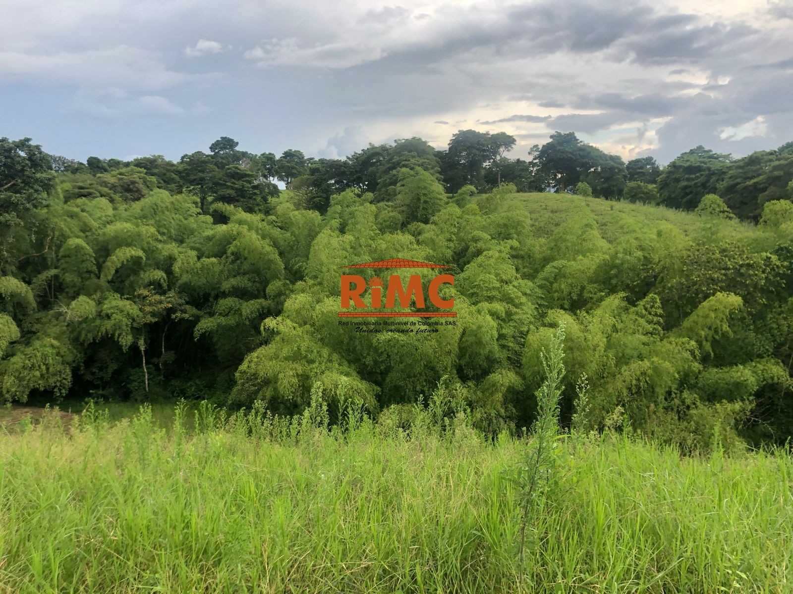 LOTE EN VENTA EN ALCALA VALLE (B.I.) - RIMC